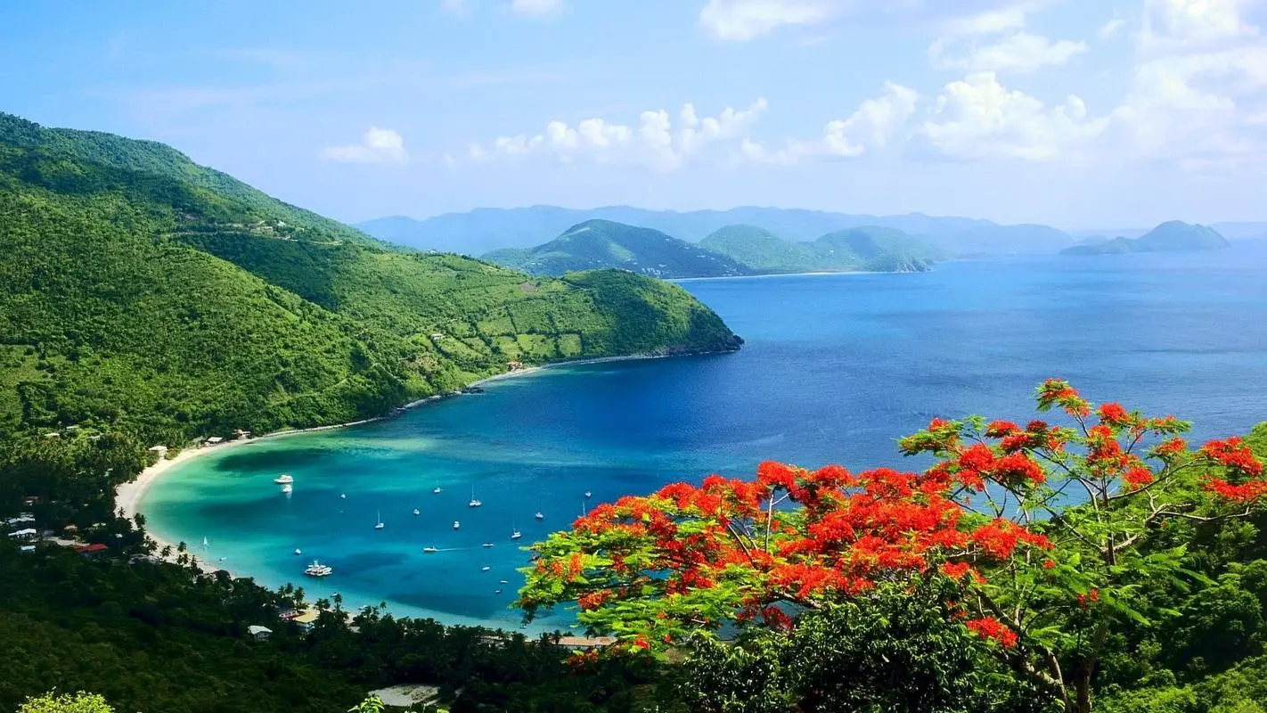 高性能创意